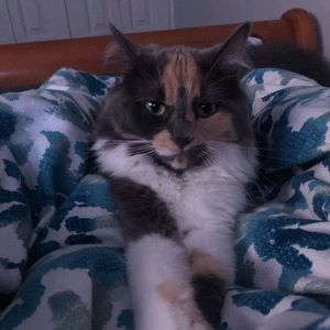 Meet your Posher, Samantha